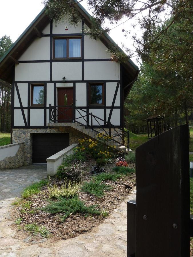 Radunska Ostoja Villa Dziemiany Kültér fotó