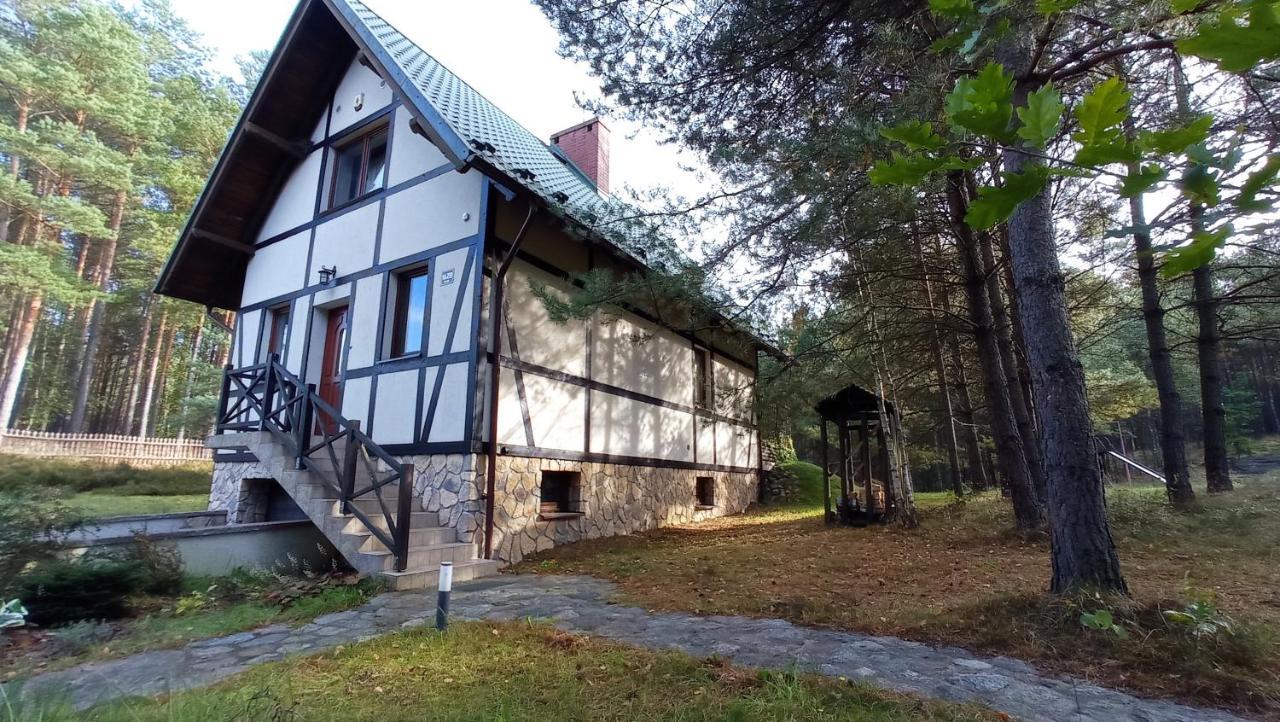 Radunska Ostoja Villa Dziemiany Kültér fotó