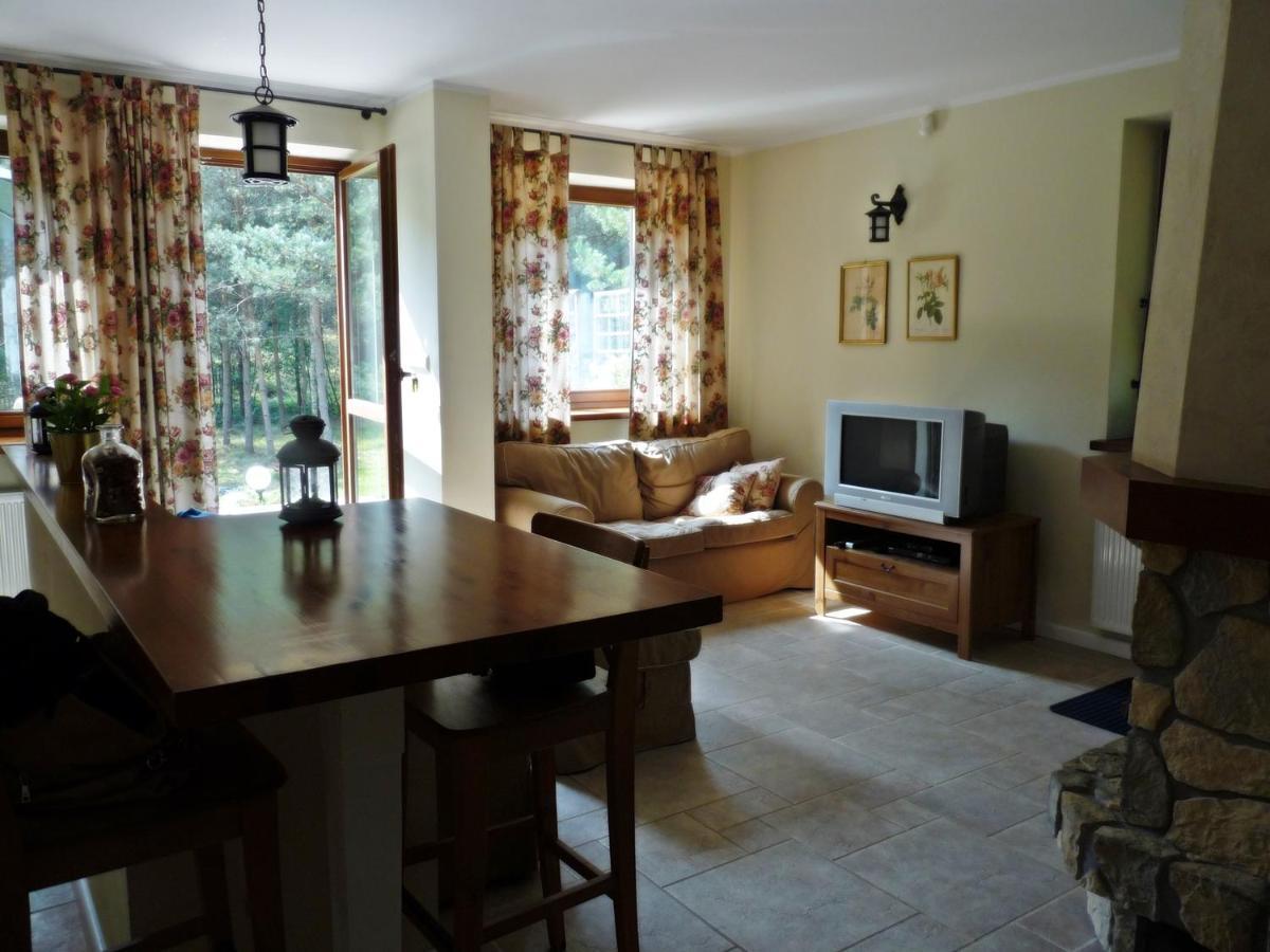 Radunska Ostoja Villa Dziemiany Kültér fotó