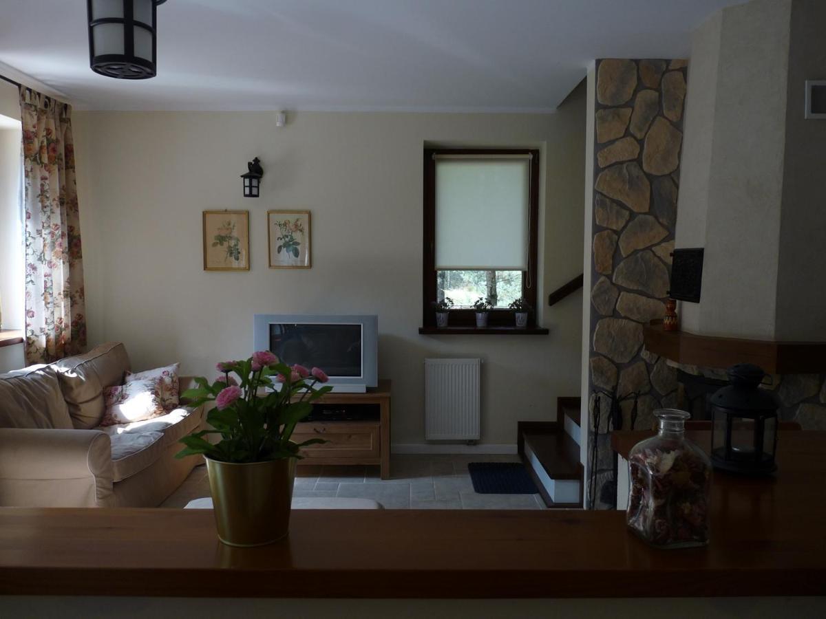 Radunska Ostoja Villa Dziemiany Kültér fotó